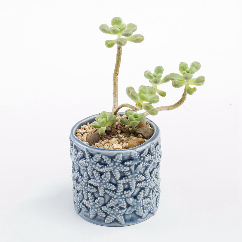 Ocean cute ceramic flower pot