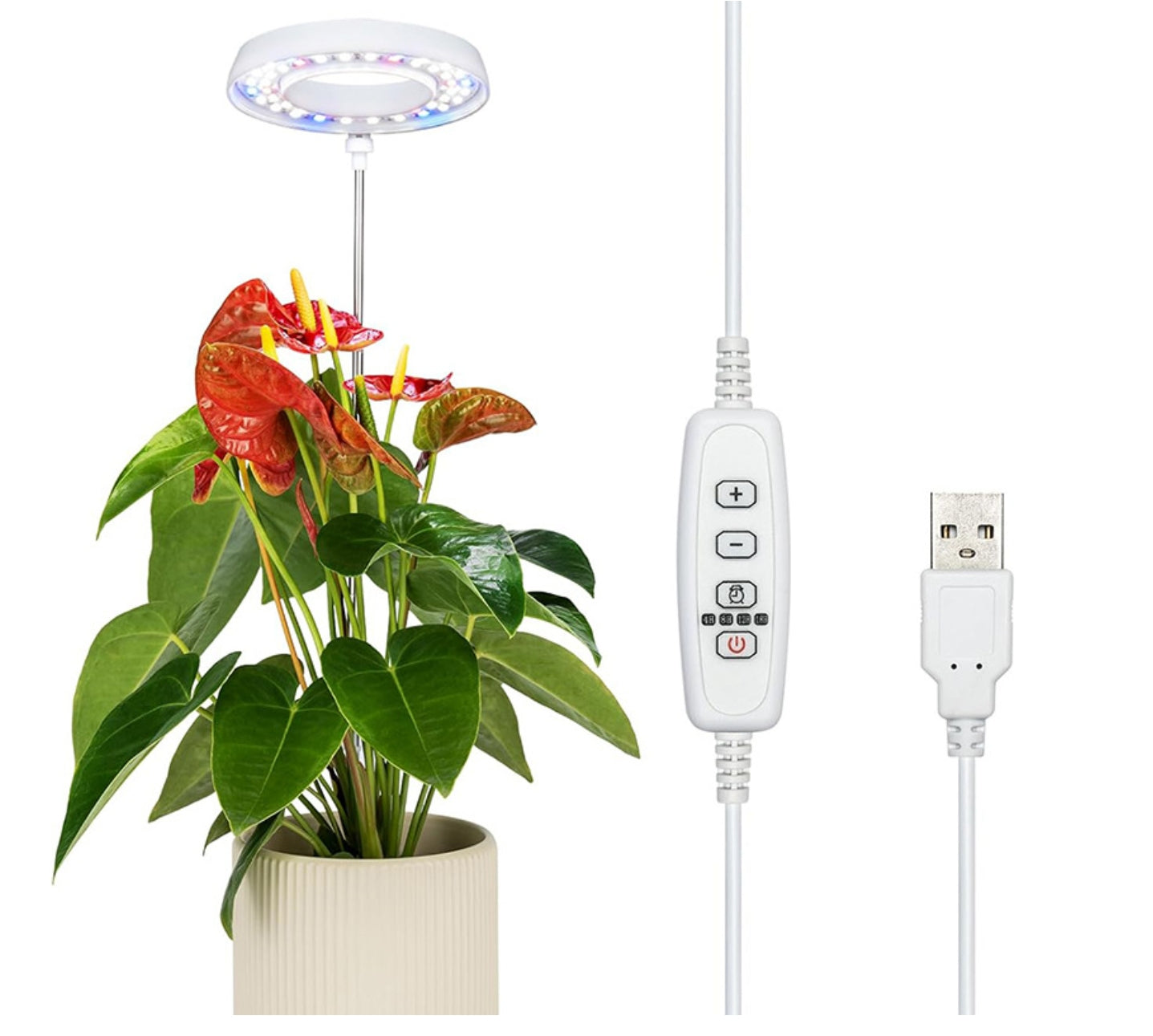 Plant growth light, succulent plant supplement light(24 warm white+16 red+8 blue)