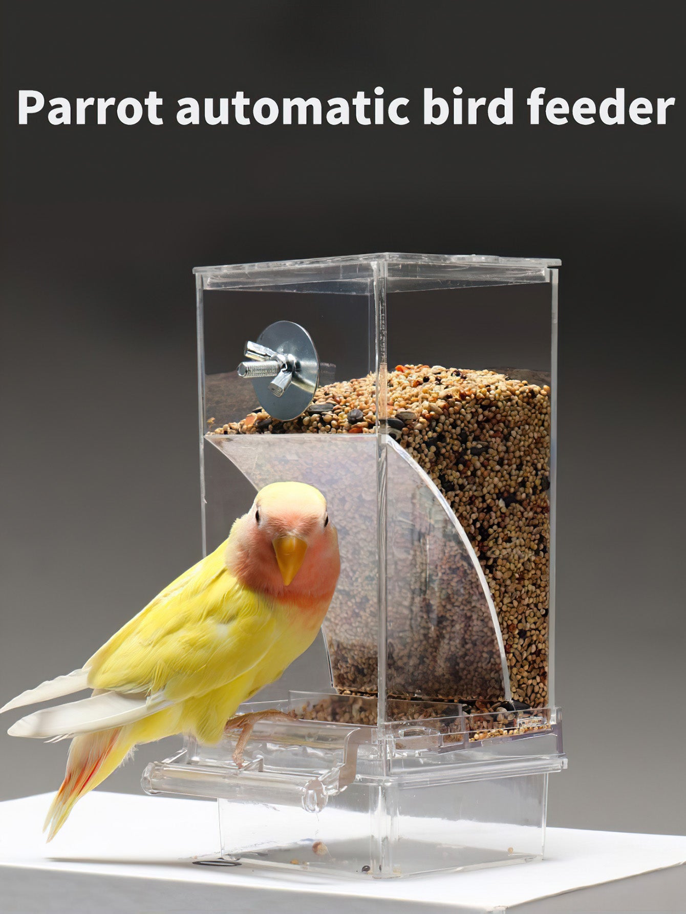 Parrot Bird Feeder Anti-Spill Automatic Dispenser with Husk Separation