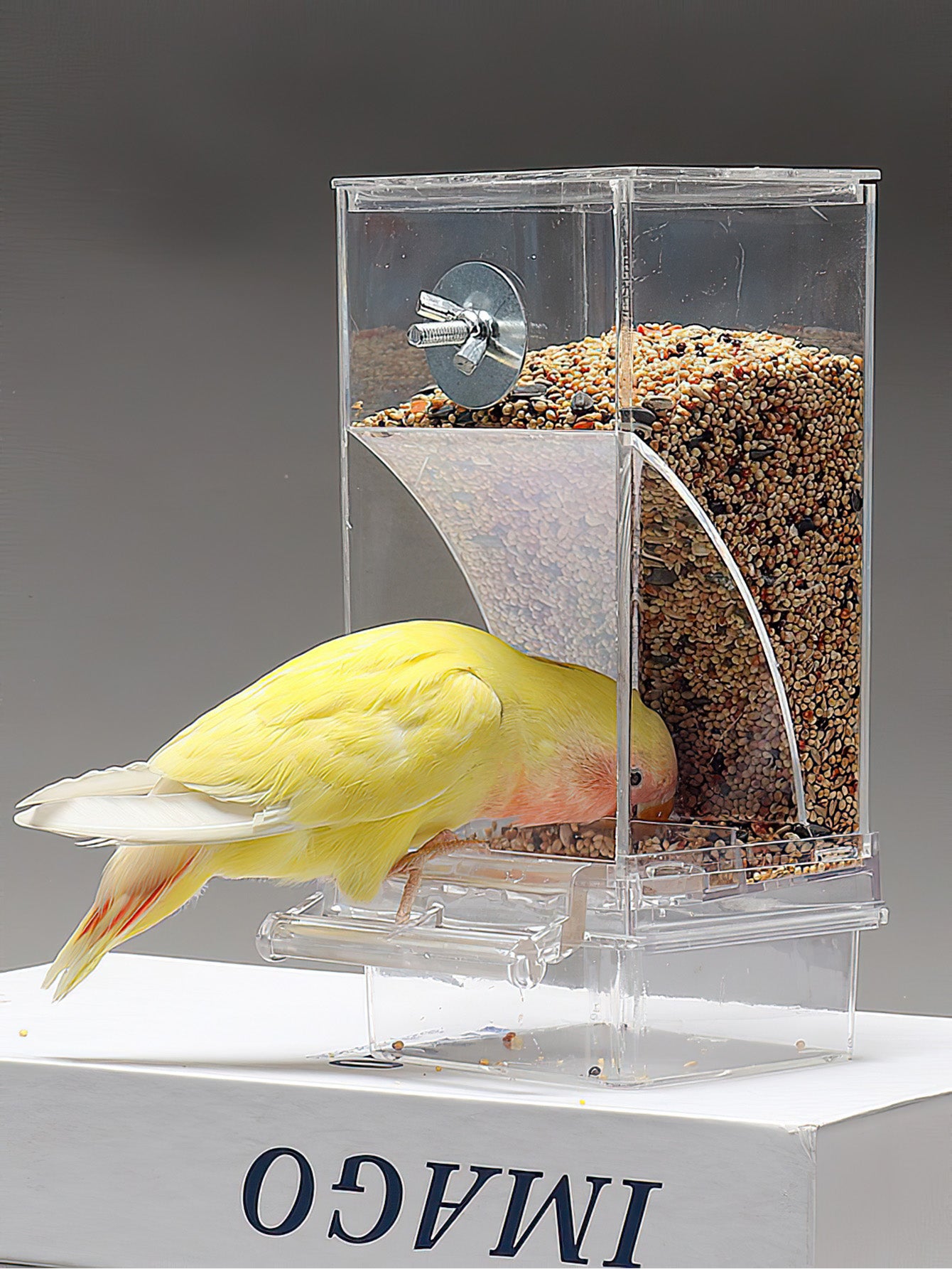 Parrot Bird Feeder Anti-Spill Automatic Dispenser with Husk Separation