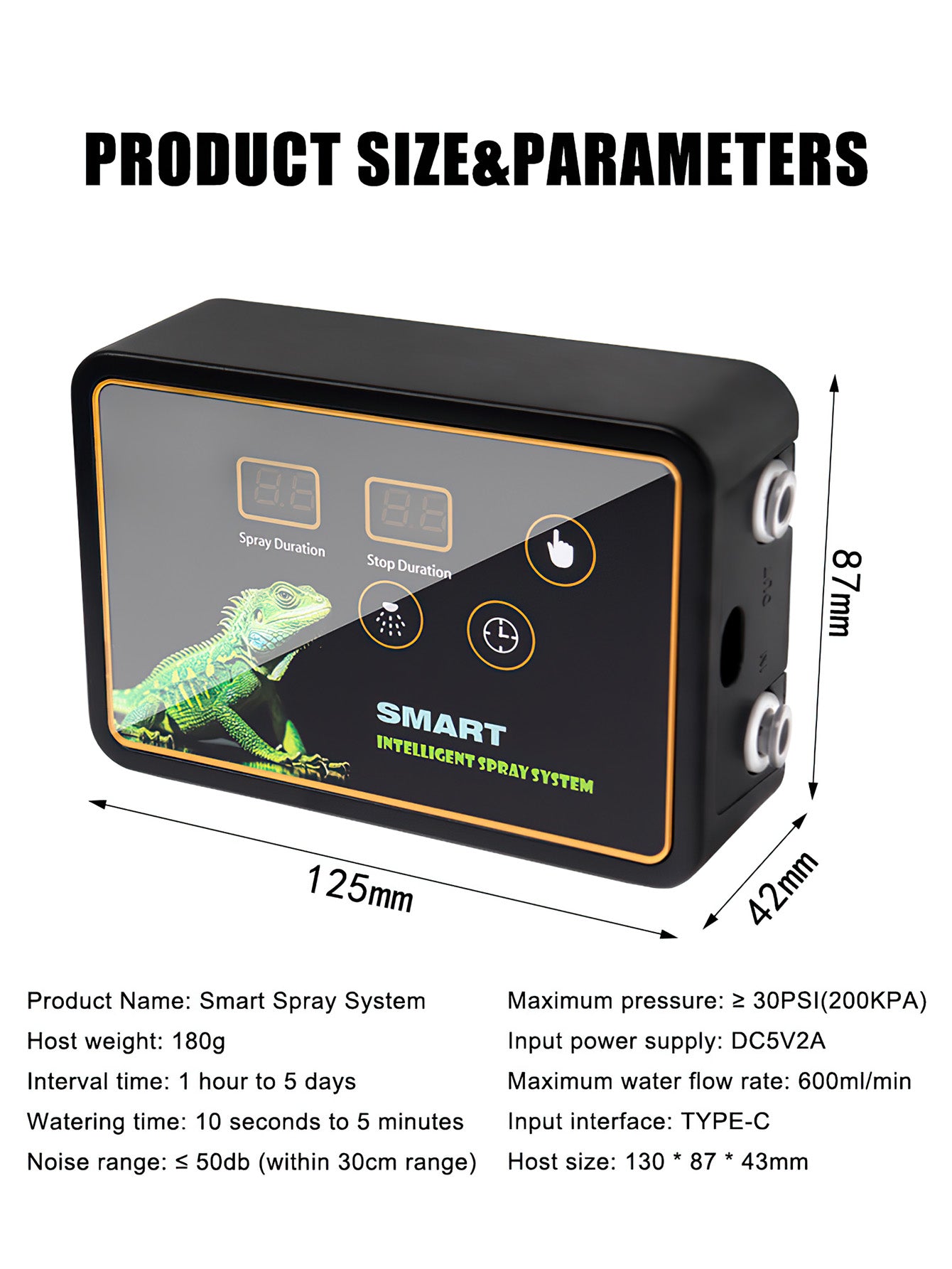 Rainforest Terrarium Automatic Mist System