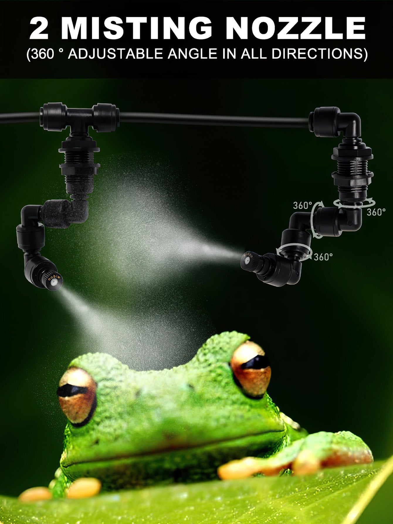 Rainforest Terrarium Automatic Mist System
