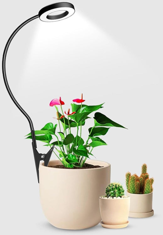 Plant growth light, succulent plant supplement light(24 warm white+16 red+8 blue)