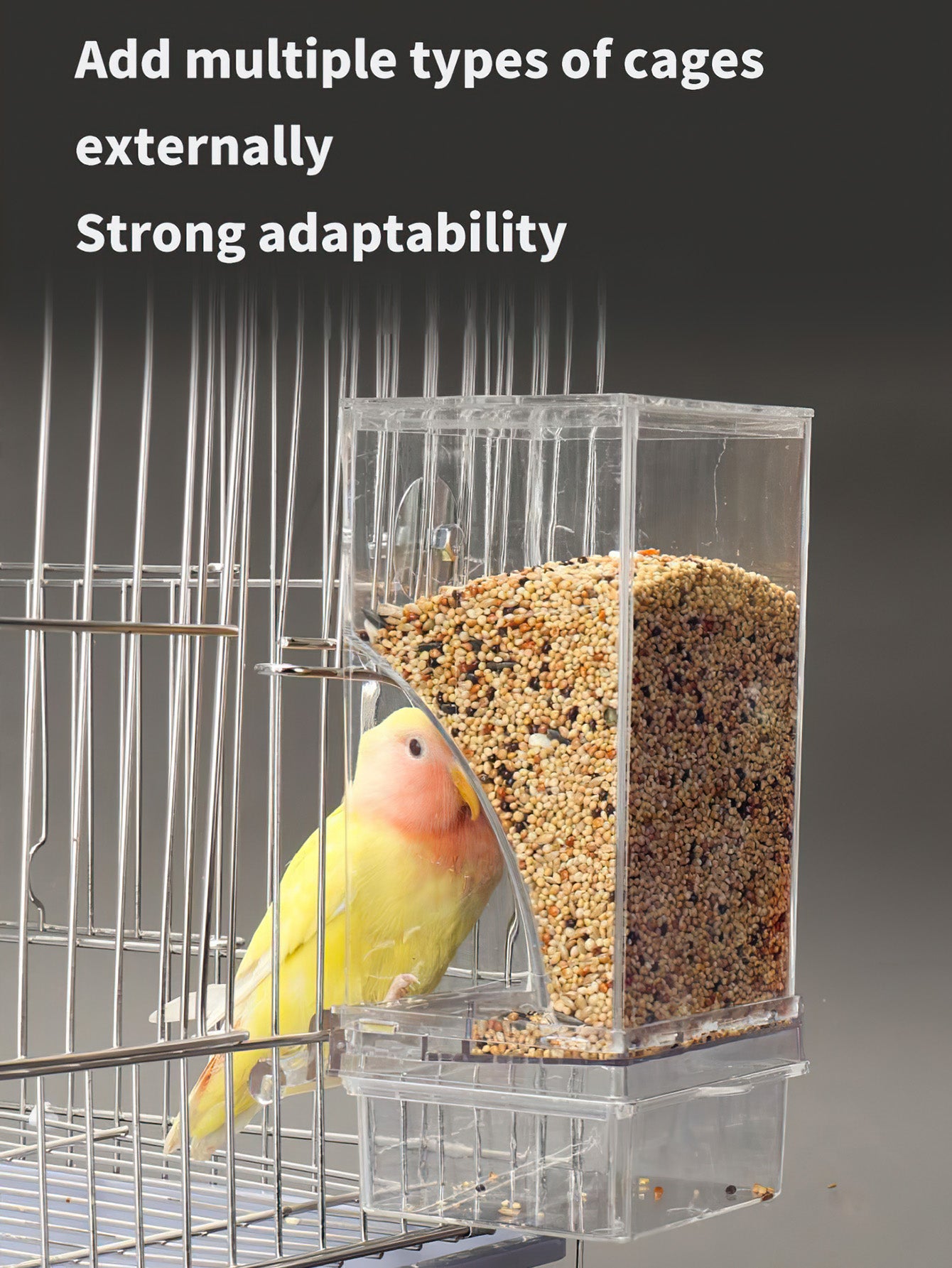 Parrot Bird Feeder Anti-Spill Automatic Dispenser with Husk Separation