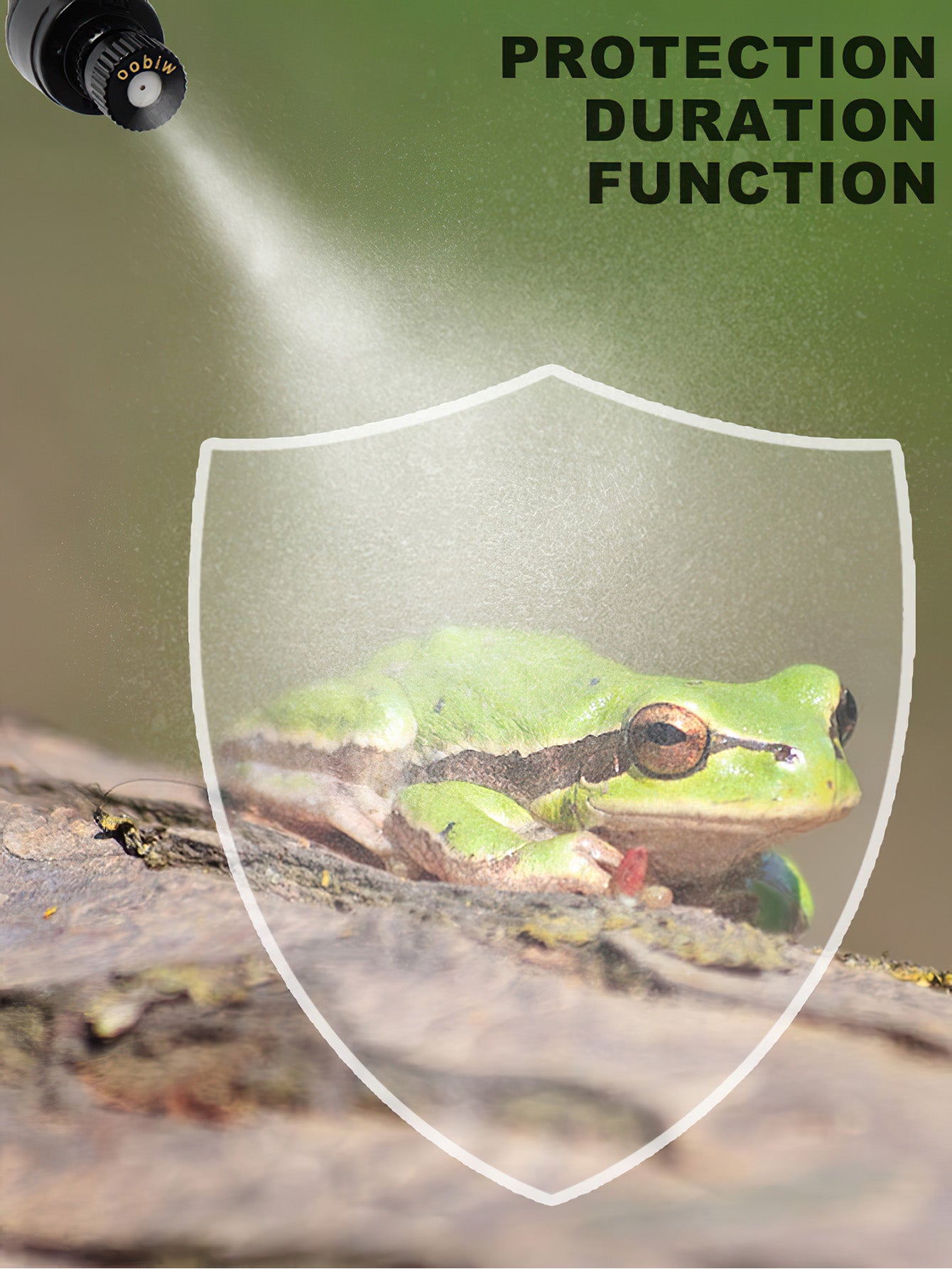 Rainforest Terrarium Automatic Mist System
