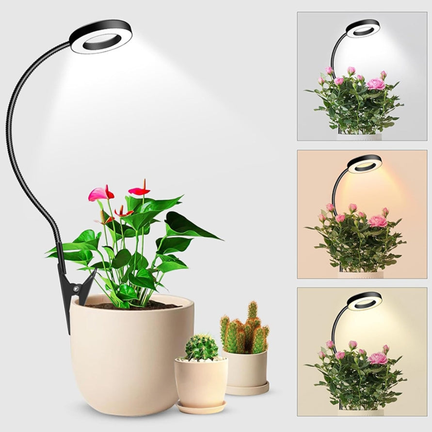 Plant growth light, succulent plant supplement light(24 warm white+16 red+8 blue)