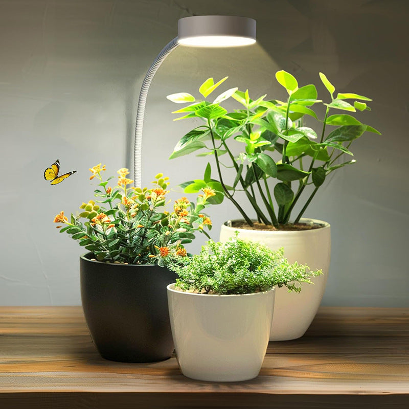 Plant growth light, succulent plant supplement light(24 warm white+16 red+8 blue)