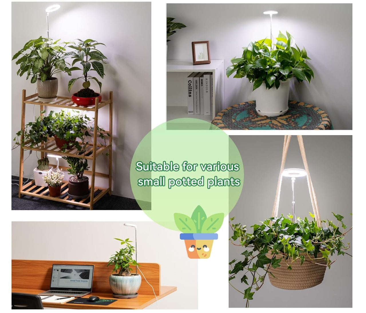 Plant growth light, succulent plant supplement light(24 warm white+16 red+8 blue)