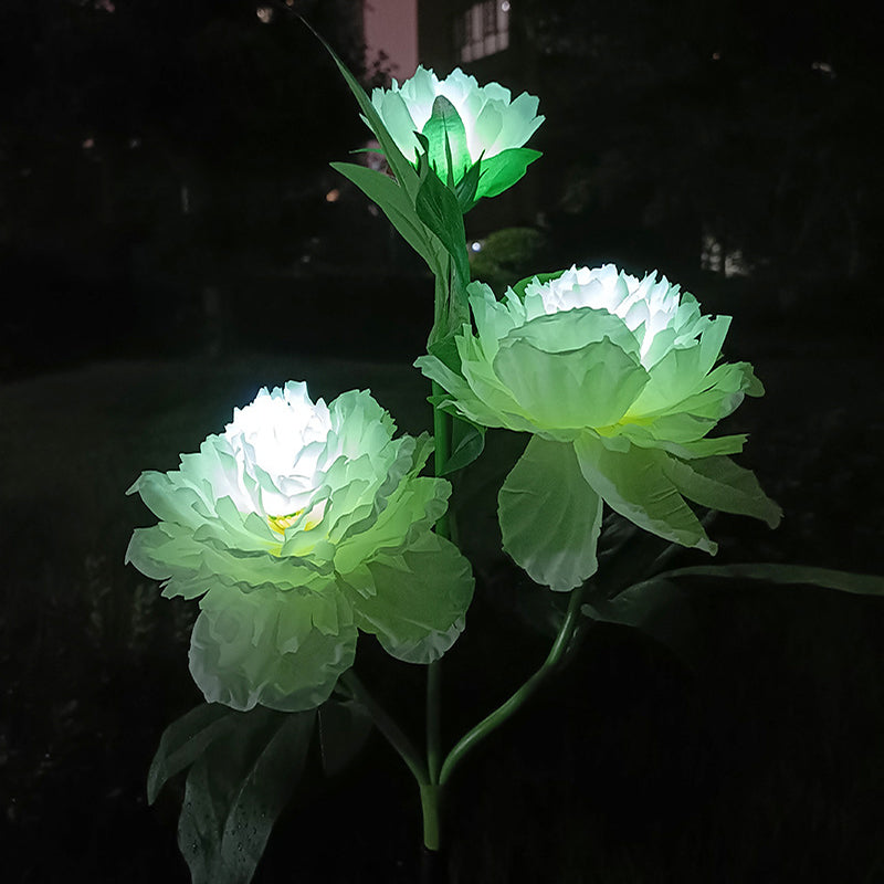Solar LED Garden Decoration Light