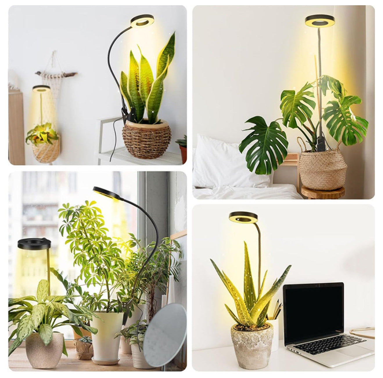 Plant growth light, succulent plant supplement light(24 warm white+16 red+8 blue)