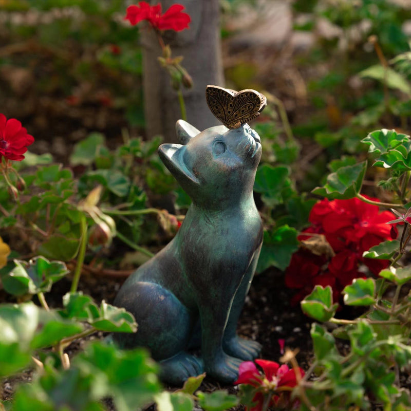 Curious cat and butterfly