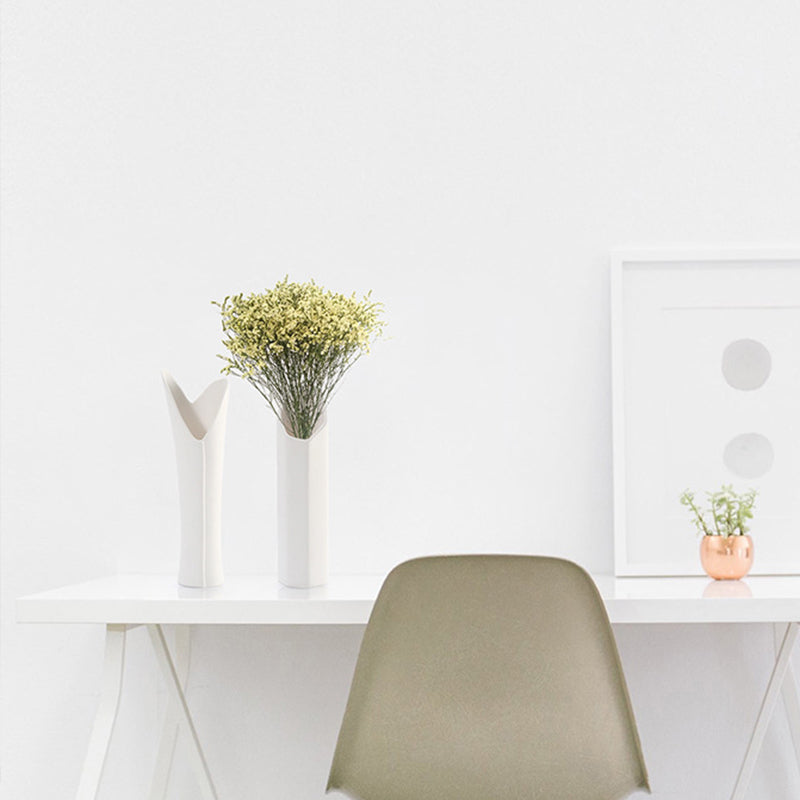 Simple Gypsophila Dry Flower Vase