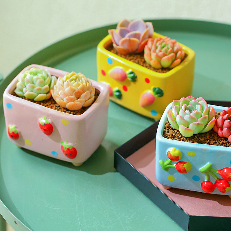 Pastoral fresh painted relief fruit succulent ceramic flower pots