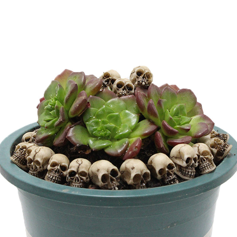 Skull set ornaments